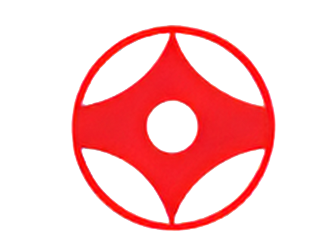 Is There Kata in Kyokushin? Exploring the Role of Forms in Kyokushin Karate