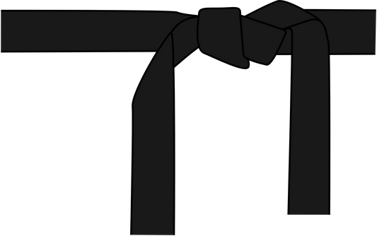 Karate Beyond Belts