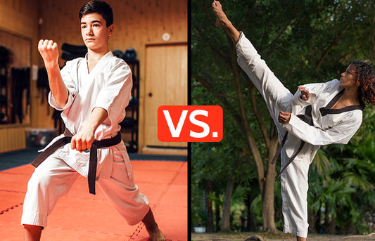 karate versus taekwondo