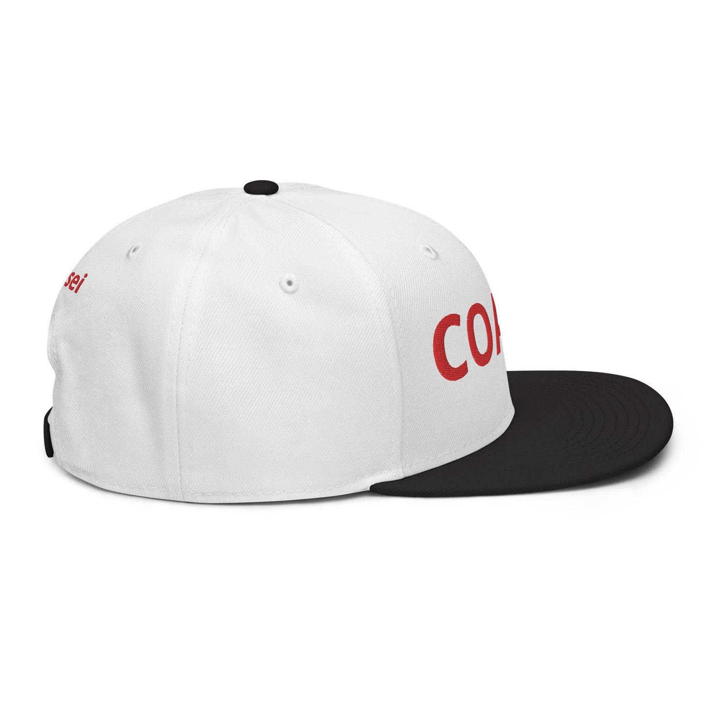 Coach Snapback Hat