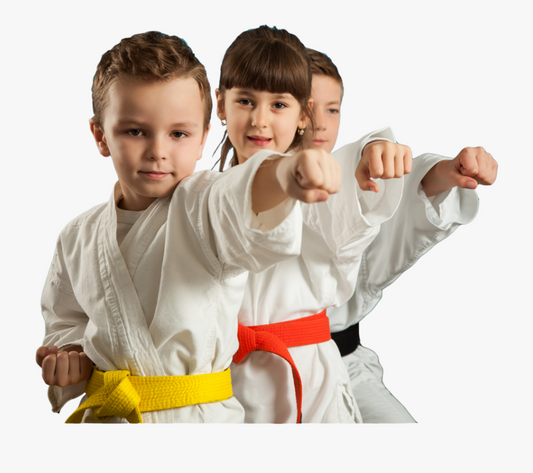 Unveiling the Art: A Deep Dive into Karate and Martial Arts
