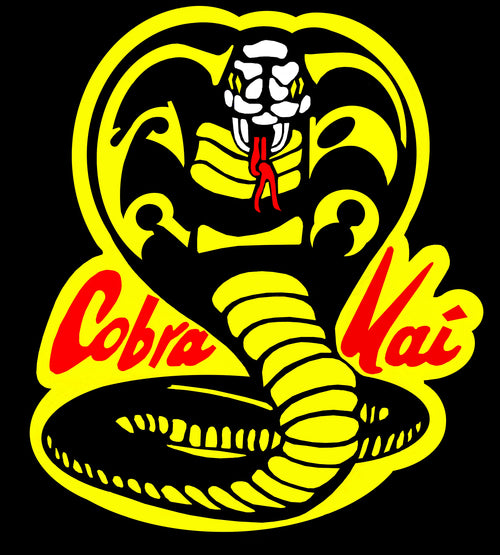 Does Cobra Kai use Kyokushin karate