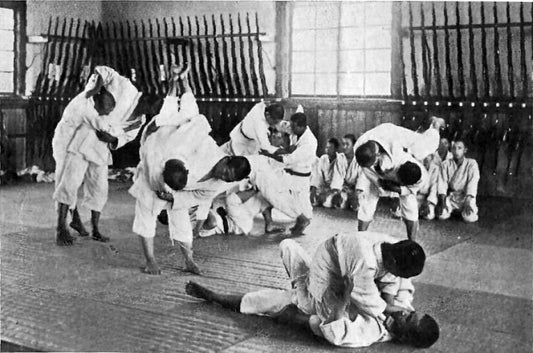 Harmony in Movement: The Synergy of Karate and Jiu Jitsu