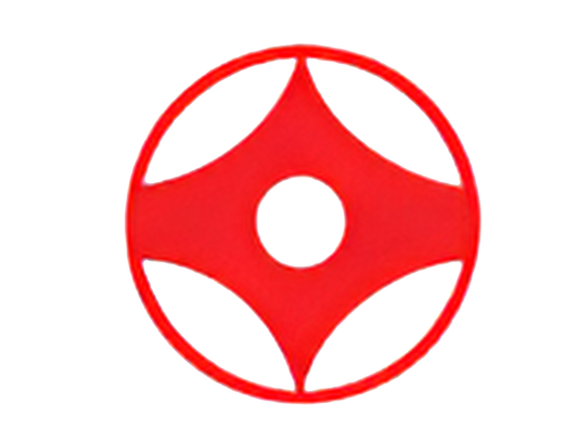 Kyokushin