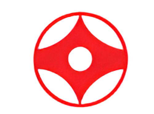 Is There Kata in Kyokushin? Exploring the Role of Forms in Kyokushin Karate