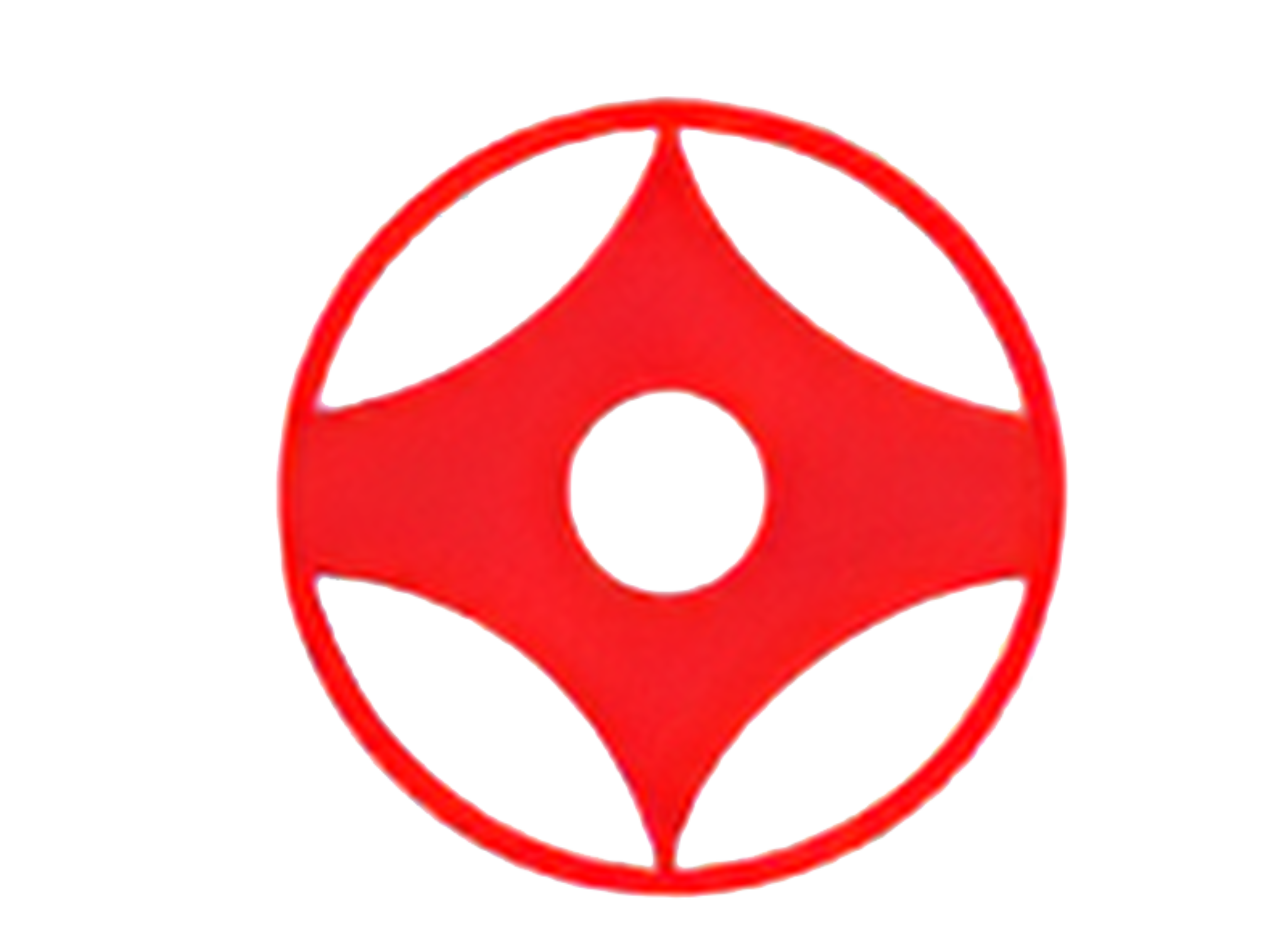 Is There Kata in Kyokushin? Exploring the Role of Forms in Kyokushin Karate