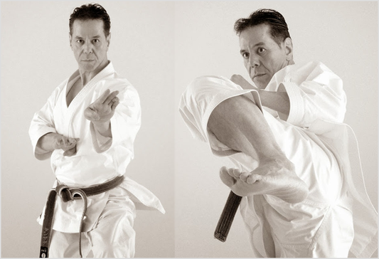 Allen Tanzadeh (Kyoshi), 8th Dan: A Legacy of Excellence in Shitoryu Karate