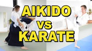 Karate vs Aikido