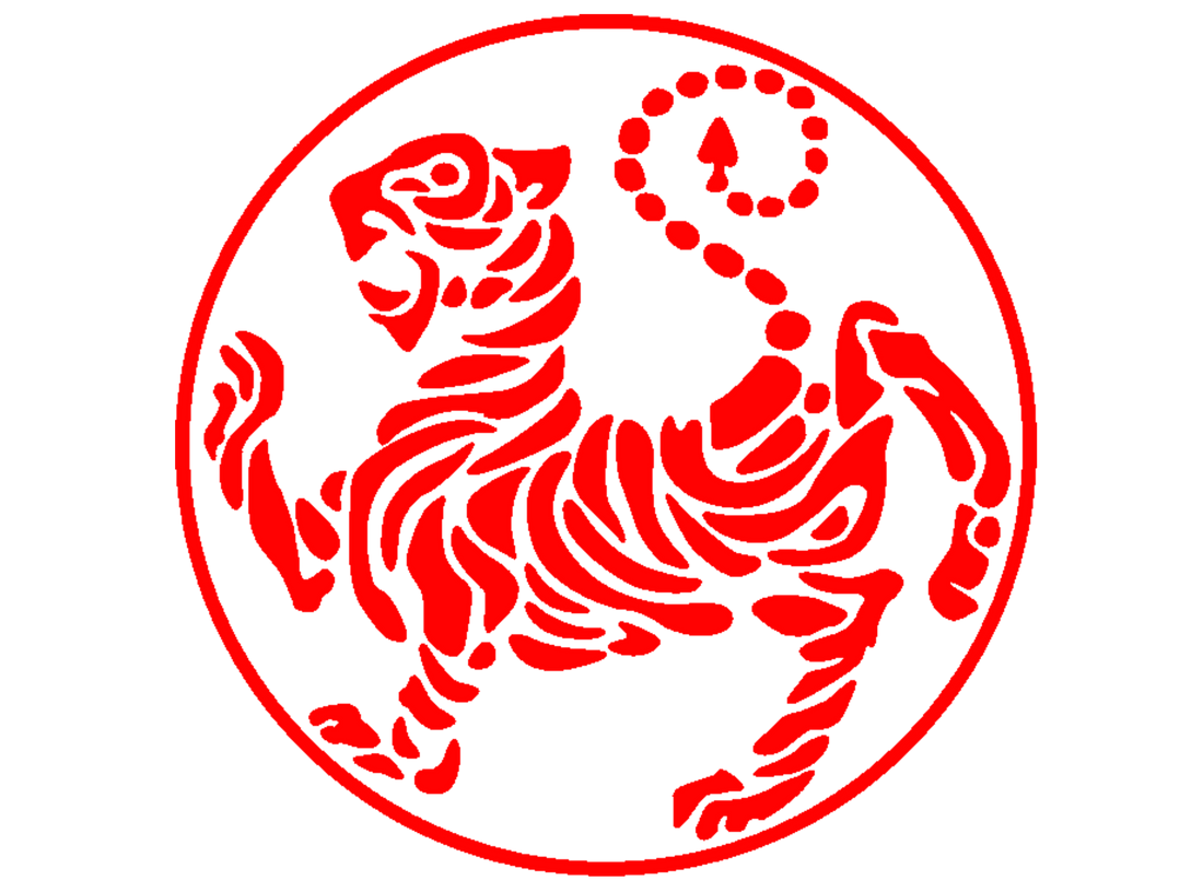 Shotokan Karate: Finding the Balance Between Hard and Soft