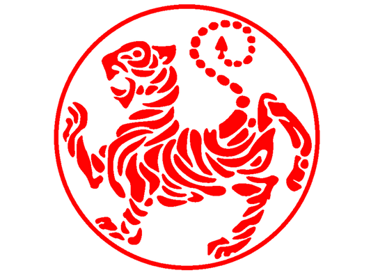 Shotokan Karate: Finding the Balance Between Hard and Soft
