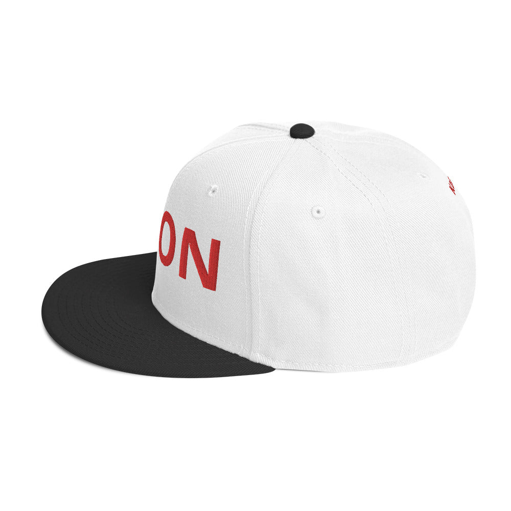 Ippon Karateka Snapback Hat