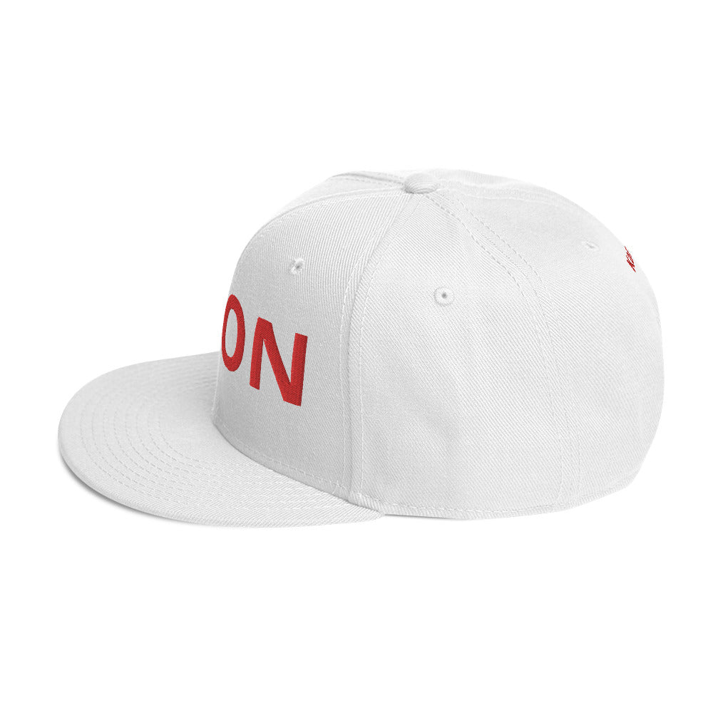 Ippon Karateka Snapback Hat