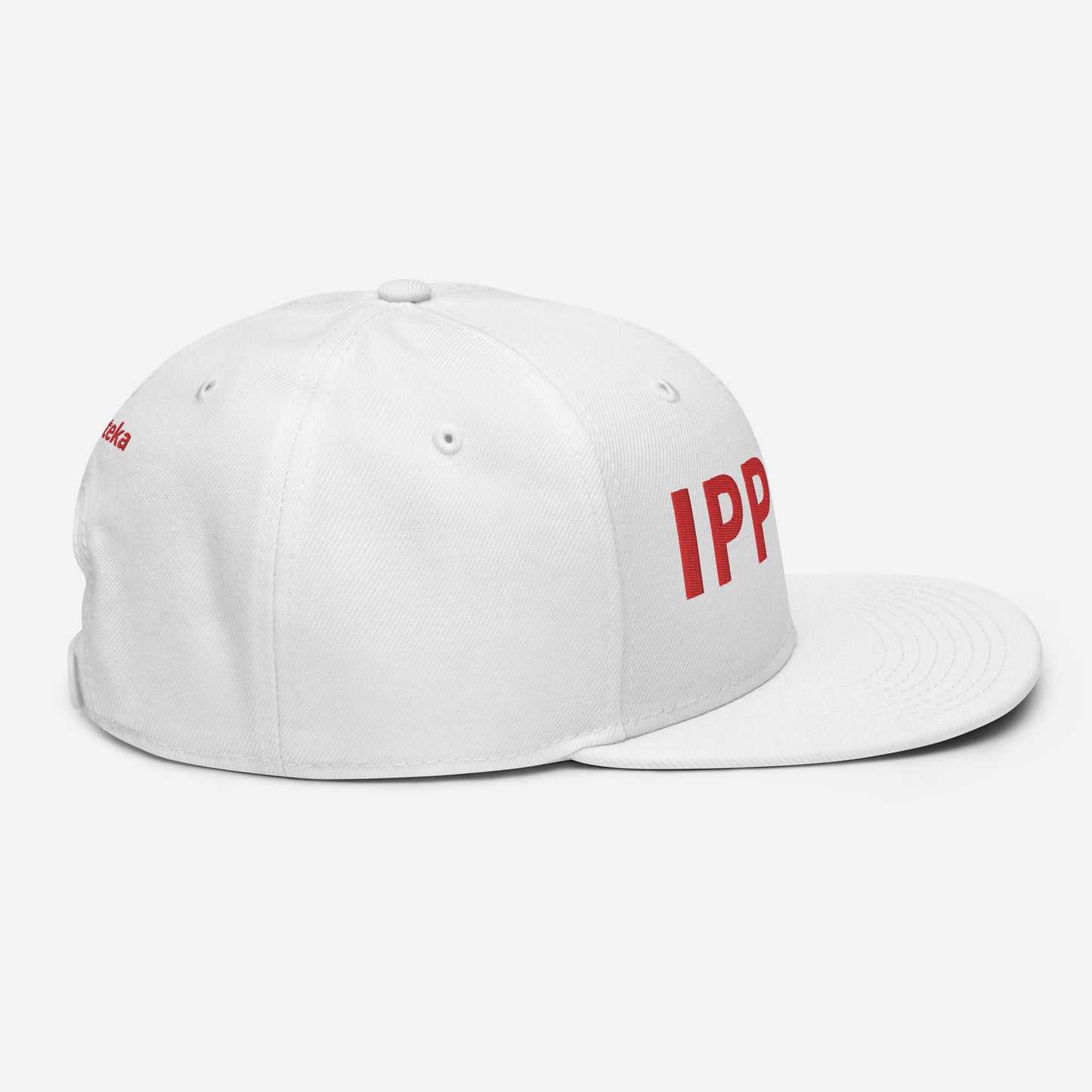 Ippon Karateka Snapback Hat