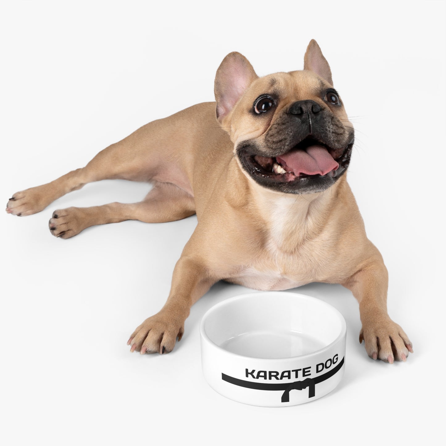 Karate Pet Bowl